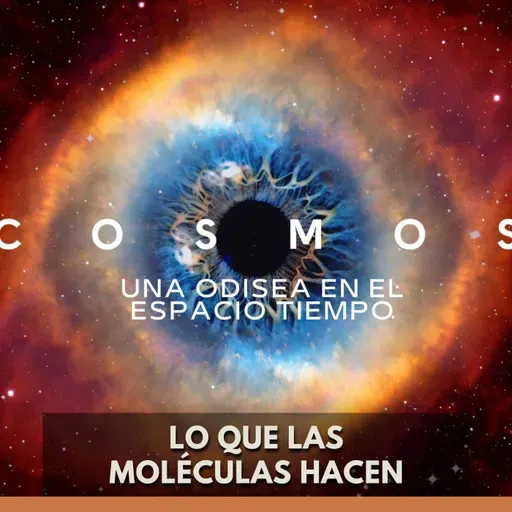 Cosmos: Una Odisea en el Espacio Tiempo - Lo que las Moléculas Hacen
