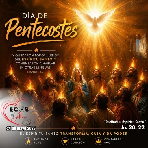 Domingo, 24 de mayo 2026 || Juan 20, 19-23