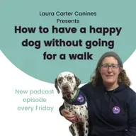 Games That Strengthen Your Bond Without the Lead