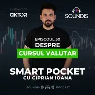 Episodul 30 - Despre cursul valutar