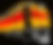 Freight Train Boogie Podcasts