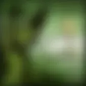 reforma.com - Apunte táctico con Francisco Javier González