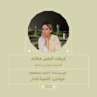 2650.درخت انجیر معابد (قسمت چهل و پنجم)