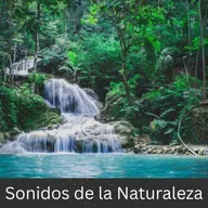 Large Fountain in Park - 10 Horas para Dormir, Meditación y Relajación