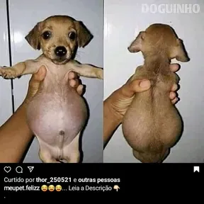 NAO EXISTE