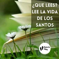¿QUE LEES? LEE LA VIDA DE LOS SANTOS