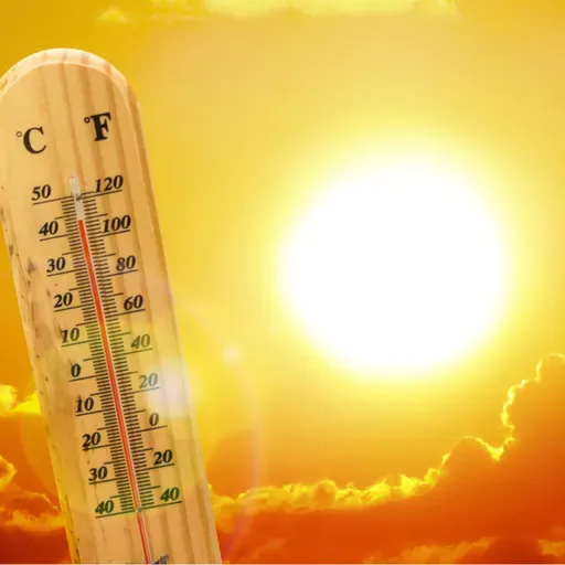 Calor Extremo: La Amenaza Cotidiana para Nuestra Salud