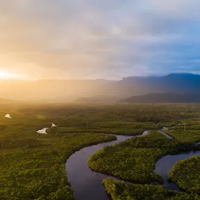 Amazôniaplay