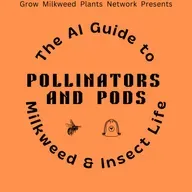 15. Shady Allies: How Shrubs Support Florida’s Endangered Milkweed