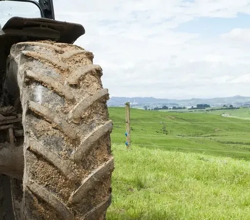 Christmas on the farm in Roscommon with Miriam Gunn