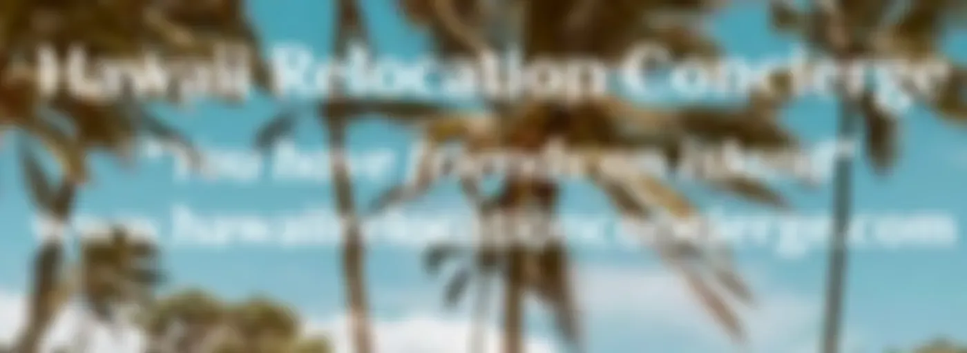 "Talking Story with Big Island Business'"