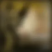 reforma.com - Sin límite de tiempo