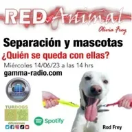 RED ANIMAL CON OLIVIA FREY/ SEPARACIÓN Y LAS MASCOTAS