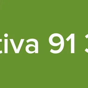 Creativa 91 3 FM