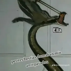 Los pollos hermanos family