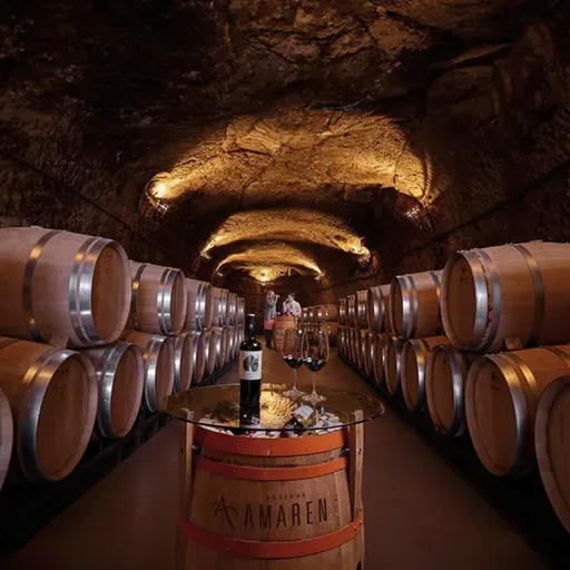 Una de las mejores bodegas que puedes visitar en el mundo - Episodio exclusivo para mecenas