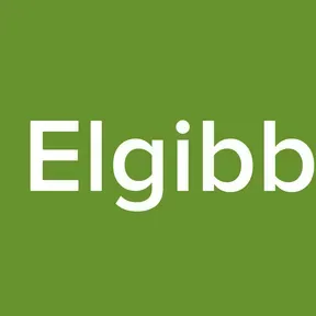Radio Elgibbor FM