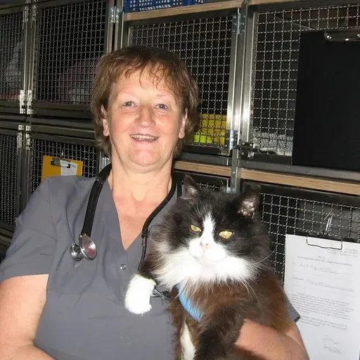 Veterinārārste trešajā paaudzē Solvita Zvirgzdiņa brīvajā laikā darbojas amatierteātrī