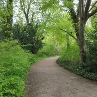 Dios ¿Por qué estás tan lejos? ¿Por qué no nos hablas?