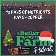 12 Days of Nutrients - Day 8: Copper