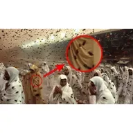 ТАКОГО жители планеты ещё НЕ ВИДЕЛИ