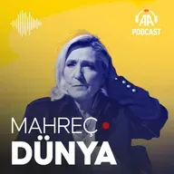 Le Pen'e verilen ceza Fransa iç siyasetine nasıl yansıdı?