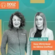 Kutyusod karácsonya is boldog lesz, ha ezeket a tanácsokat megfogadod