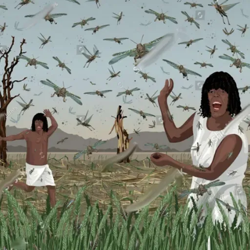 Five Minutes a Week Nov 10