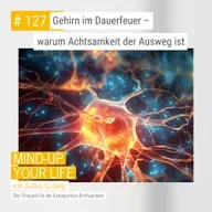 Gehirn im Dauerfeuer – warum Achtsamkeit der Ausweg ist #127