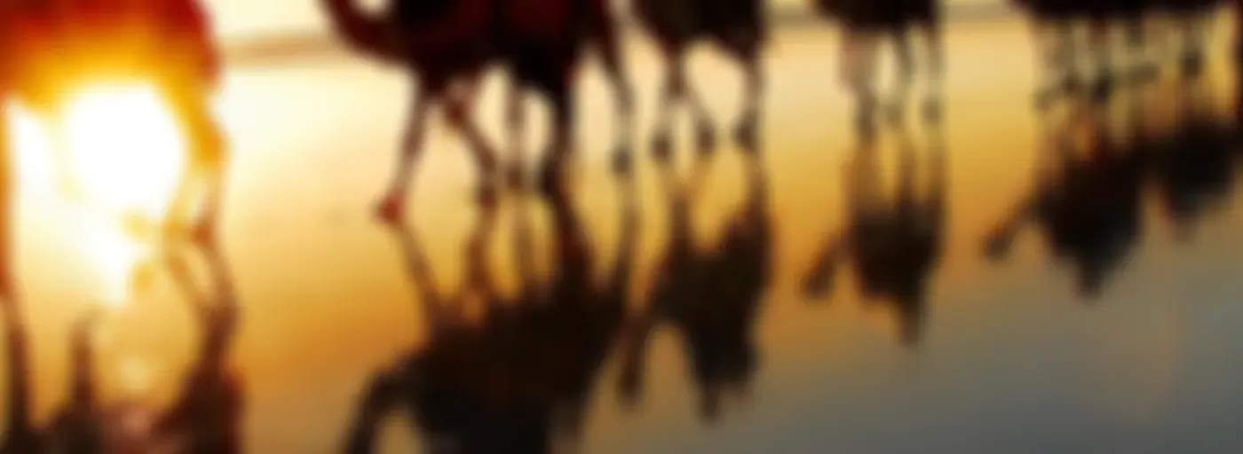 ===="اللغات الرئيسية المستخدمة في سوريا - "كلمات الحياة" ، "الأخبار السارة" ، "ترانيم الإنجيل /  "Words of Life", "Good News", "Gospel Songs"- in Major Languages Spoken in Syria ===