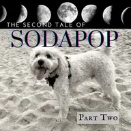 The Second Tale of Sodapop: Part 2