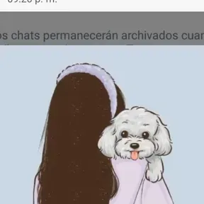 Alcalá fiesta 90.3 fm