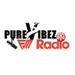 Pure Vibez FM Radio
