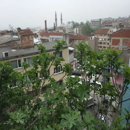 Hucurat Suresi 1-10 Tefsiri Ali Kucuk N106 M049