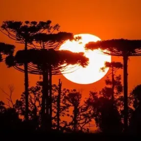 Radio Web A Luminosa