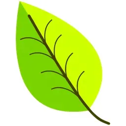 Beechberg Radio