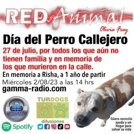 RED ANIMAL CON OLIVIA FREY/DÌA DEL PERRO CALLEJERO/ EN MEMORIA A RISHA FREY