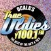 True Oldies Y100 - W261BA-FM