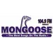104.9 The Mongoose - WMNG