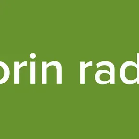 Porin radio