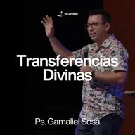 Transferencias Divinas