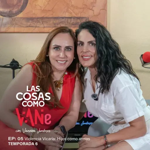 Las Cosas Como VaNe : Violencia Vicaria: Hijos como armas