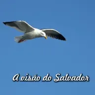 Reflexão 089 - A visão do salvador