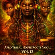 AFRO TRIBAL HOUSE ROOTS VOCAL VOL 12 DJ CARLOS HENRIQUE
