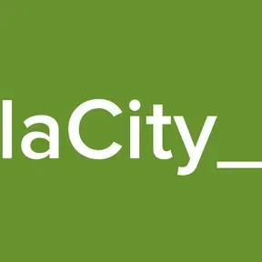 MarbellaCity_electro
