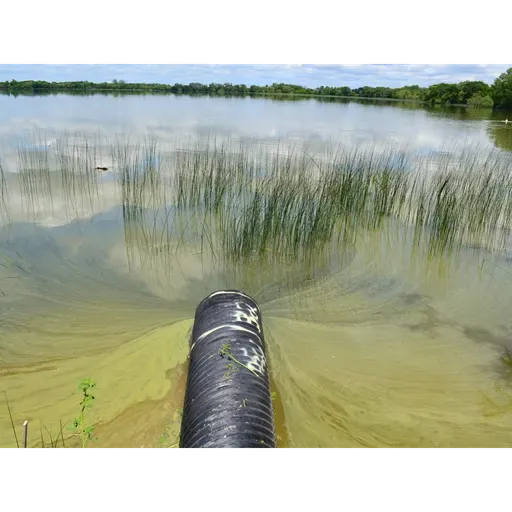 Ear to the Ground 395: The Lobe Rangers