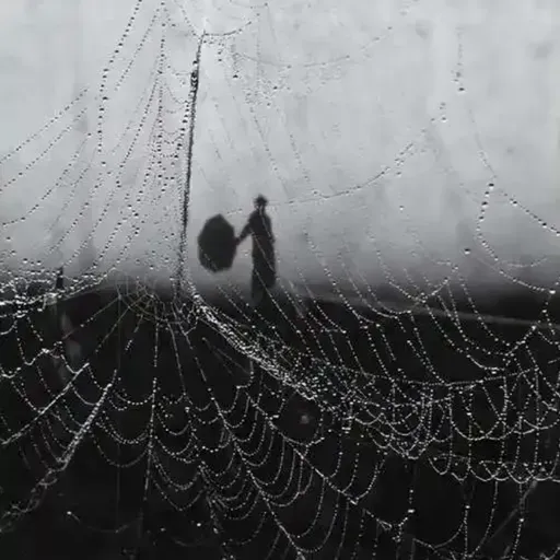 叶浅韵：想把自己推倒