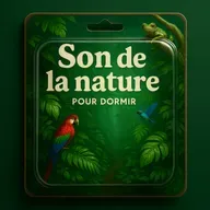 1 H Bruit Blanc pour DORMIR | son de la nature contre l'insomnie