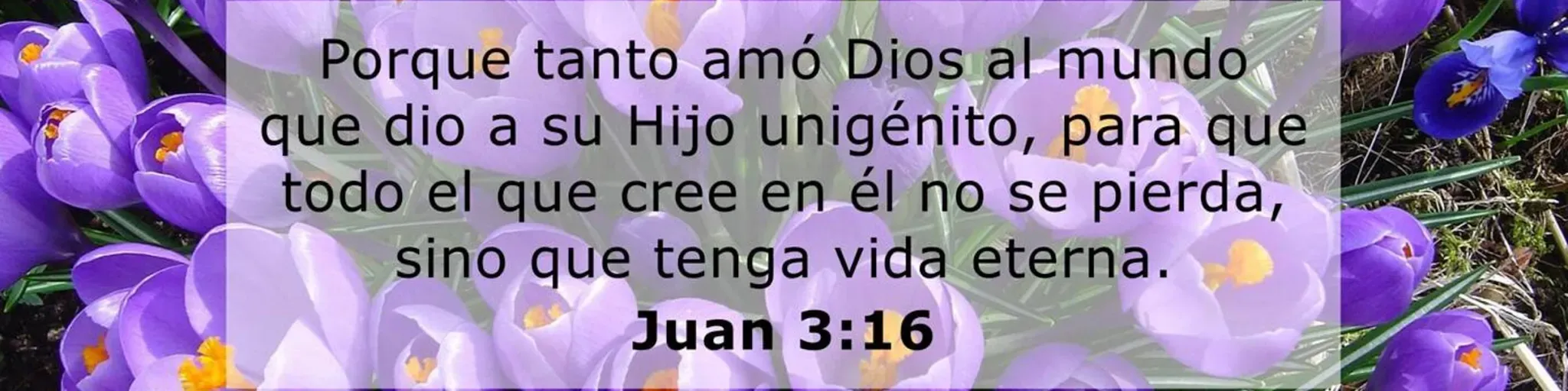 Palabra de vida