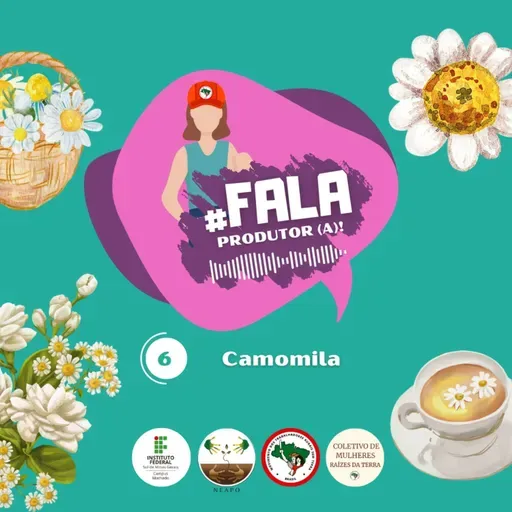 #6 Camomila